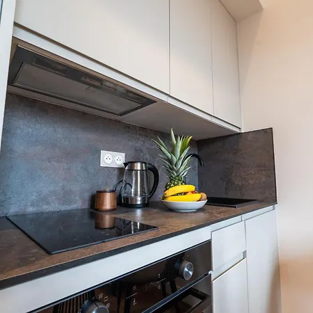 Le Constantine Croisette Apartment Cannes